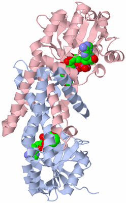 Image Biological Unit 2