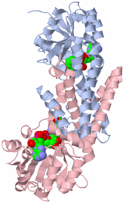 Image Biological Unit 1