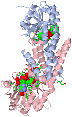 Image Biol. Unit 1 - sites