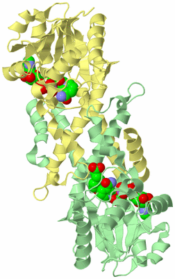 Image Biological Unit 2