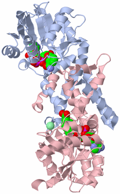 Image Biological Unit 1