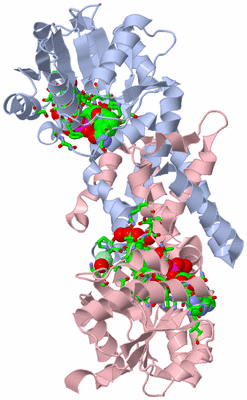 Image Biol. Unit 1 - sites