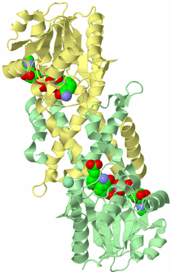 Image Biological Unit 2