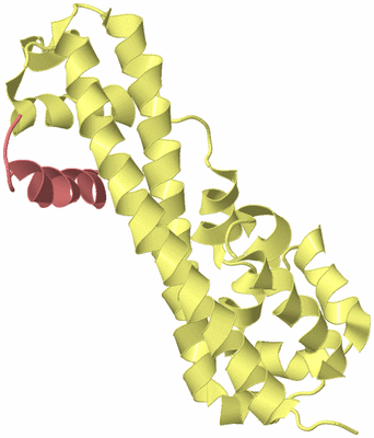 Image Biological Unit 4