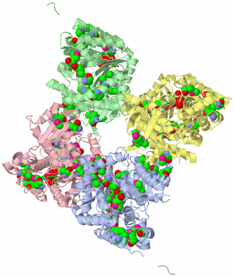 Image Asym./Biol. Unit - sites