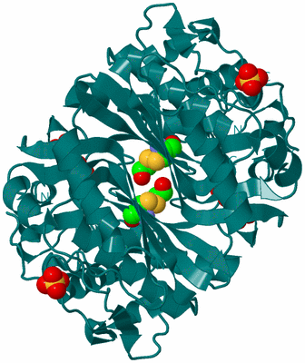 Image Biological Unit 1