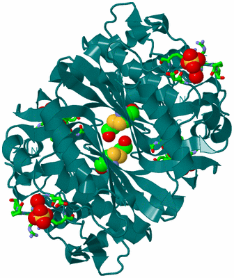 Image Biol. Unit 1 - sites