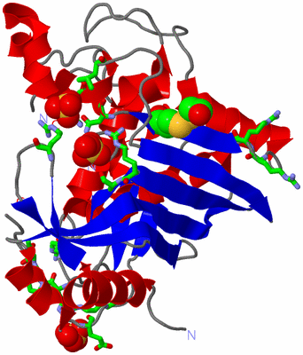 Image Asym. Unit - sites