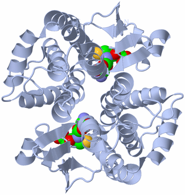 Image Biological Unit 1