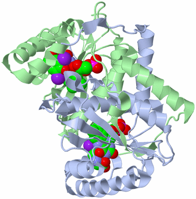 Image Biological Unit 1