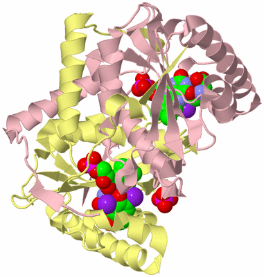 Image Biological Unit 2