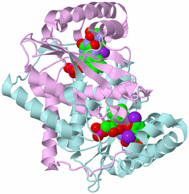 Image Biological Unit 3