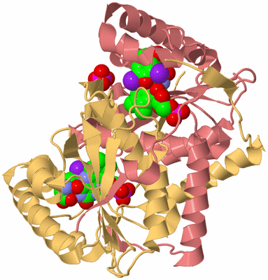 Image Biological Unit 4