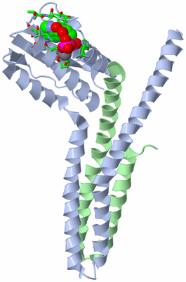 Image Asym./Biol. Unit - sites