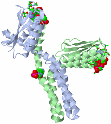 Image Asym./Biol. Unit - sites