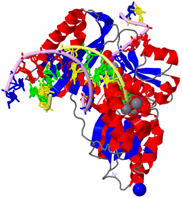 Image Asym./Biol. Unit