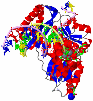 Image Asym./Biol. Unit - sites