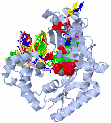 Image Biological Unit 1