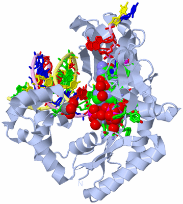 Image Biol. Unit 1 - sites