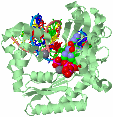 Image Biological Unit 2