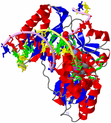 Image Asym./Biol. Unit - sites