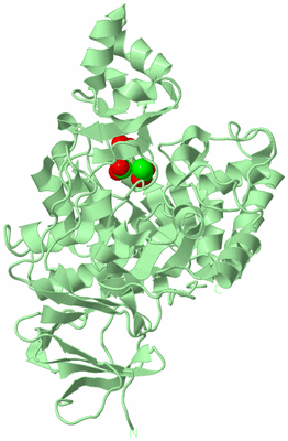 Image Biological Unit 2