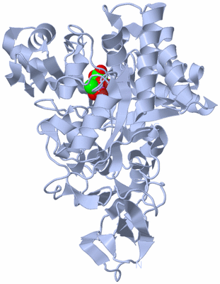 Image Biological Unit 1