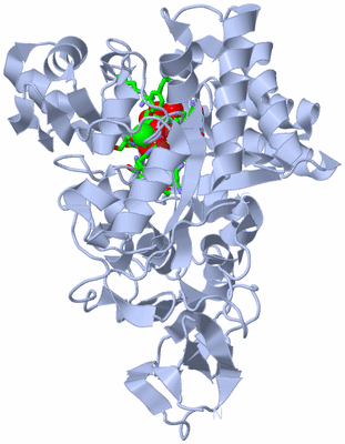 Image Biol. Unit 1 - sites