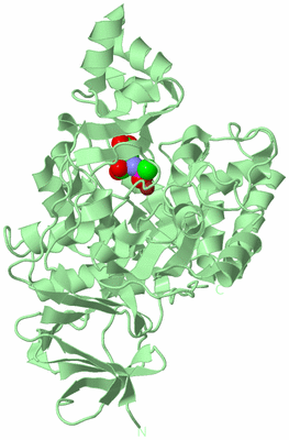 Image Biological Unit 2