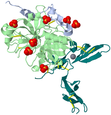 Image Biological Unit 1