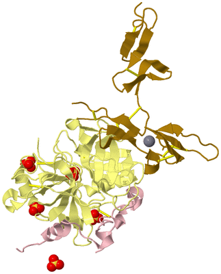 Image Biological Unit 2