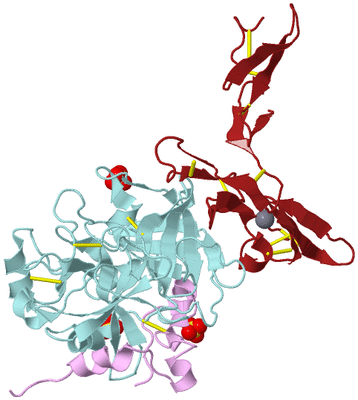 Image Biological Unit 3