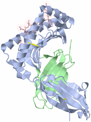 Image Biological Unit 1