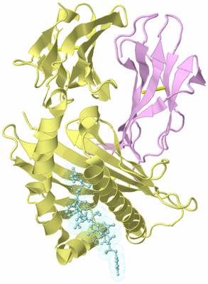 Image Biological Unit 2