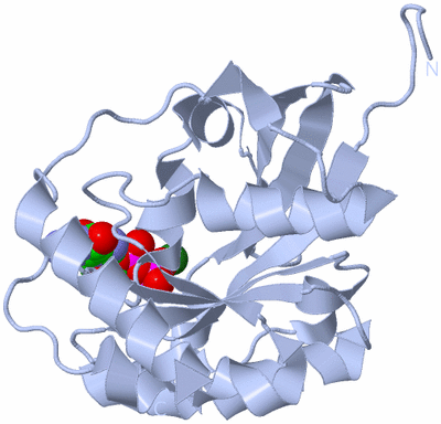 Image Biological Unit 1