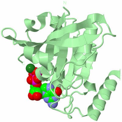 Image Biological Unit 2