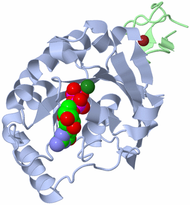 Image Biological Unit 1