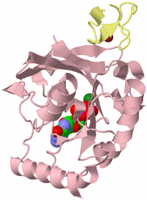 Image Biological Unit 2