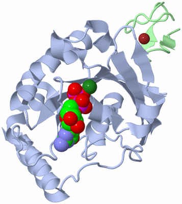 Image Biological Unit 1