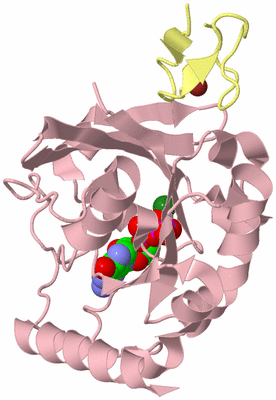 Image Biological Unit 2