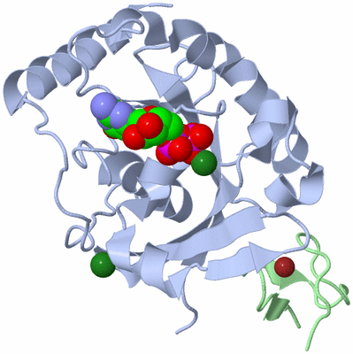 Image Biological Unit 1