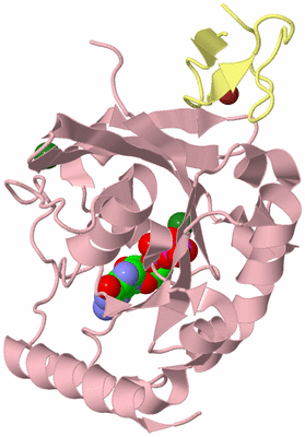 Image Biological Unit 2