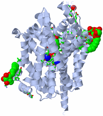 Image Biol. Unit 1 - sites