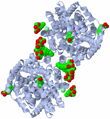 Image Biological Unit 2