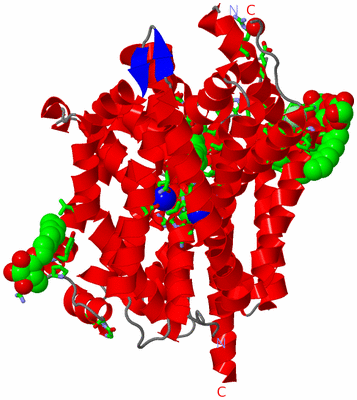 Image Asym. Unit - sites