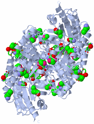 Image Biol. Unit 1 - sites