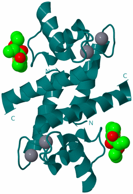 Image Biological Unit 1