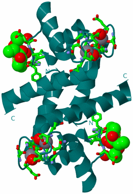 Image Biol. Unit 1 - sites