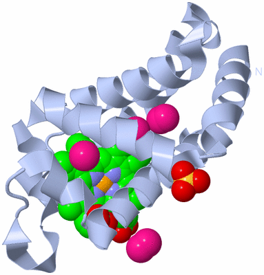 Image Biological Unit 1