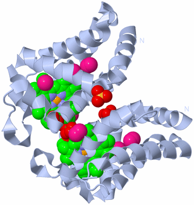 Image Biological Unit 2